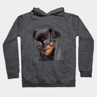 Dog offended face viral meme Hoodie